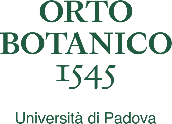 Orto Botanico Università di Padova