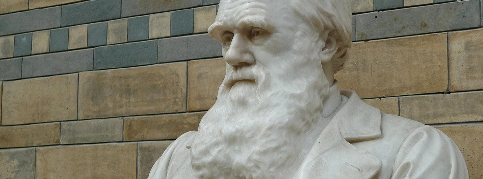 Charles Darwin Statue, Natural History Museum, London